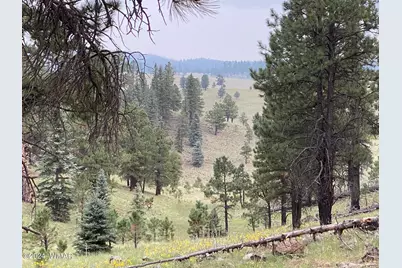 2601 Thunderbolt Circle, Pinetop, AZ 85935 - Photo 43