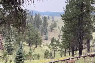 2601 Thunderbolt Cir, Pinetop, AZ 85935 - Photo 43