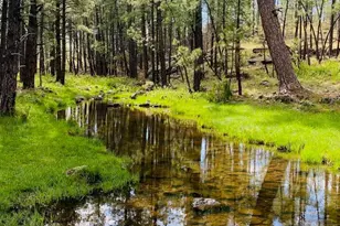 4551 Resort Loop Loop, Pinetop, AZ 85935 - Photo 17