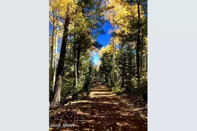 4551 Resort Loop Loop, Pinetop, AZ 85935 - Photo 19