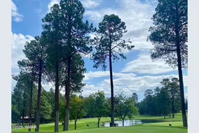 4551 Resort Loop Loop, Pinetop, AZ 85935 - Photo 21