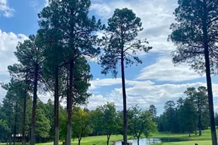 4551 Resort Loop Loop, Pinetop, AZ 85935 - Photo 21