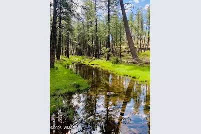 2138 N Wind Drive, Pinetop, AZ 85935 - Photo 27