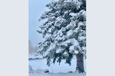 2138 N Wind Drive, Pinetop, AZ 85935 - Photo 31