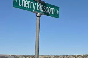 Tbd N Cherry Blossom, Snowflake, AZ 85937 - Photo 1