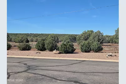 8202 Apache Way, Unit 423 #423, Show Low, AZ 85901 - Photo 5