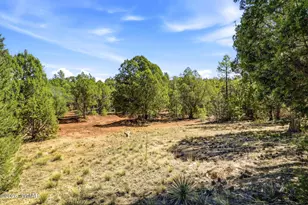 757 Jacks Wild Rd, Show Low, AZ 85901 - Photo 31