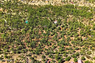 757 Jacks Wild Rd, Show Low, AZ 85901 - Photo 39