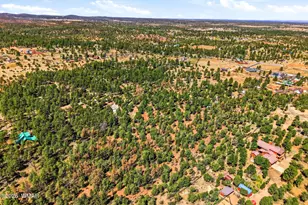 757 Jacks Wild Rd, Show Low, AZ 85901 - Photo 35