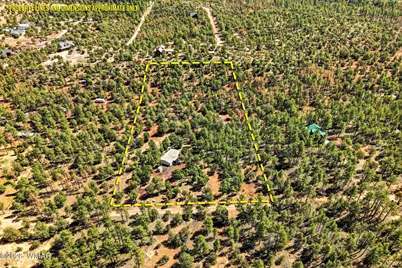 757 Jacks Wild Road, Show Low, AZ 85901 - Photo 31