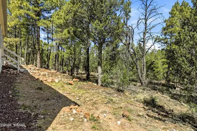 757 Jacks Wild Road, Show Low, AZ 85901 - Photo 29