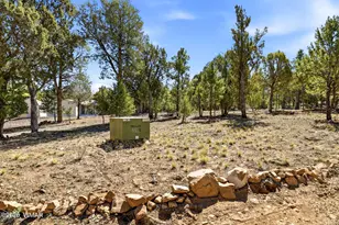 757 Jacks Wild Rd, Show Low, AZ 85901 - Photo 5
