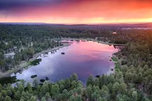 654 Monarch Circle, Lakeside, AZ 85929 - Photo 21