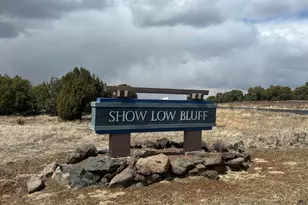 1041 S Ridgeline Dr, Show Low, AZ 85901 - Photo 5