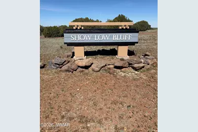 1041 S Ridgeline Drive, Show Low, AZ 85901 - Photo 7