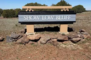 1041 S Ridgeline Dr, Show Low, AZ 85901 - Photo 7