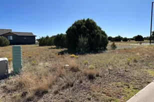 1041 S Ridgeline Dr, Show Low, AZ 85901 - Photo 3