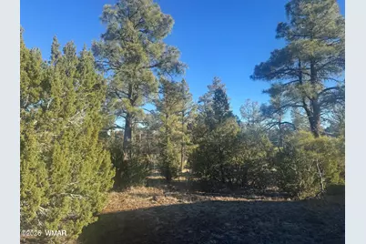 2060 E Bluff Ridge Road, Show Low, AZ 85901 - Photo 7