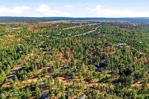 2371 Florian Mdw Trl, Overgaard, AZ 85933 - Photo 31