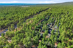 3915 Elk Hollow Dr, Pinetop, AZ 85935 - Photo 41