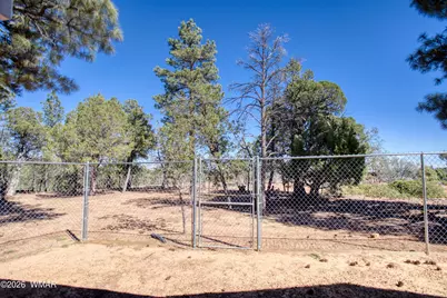 949 Geronimo Lane, Show Low, AZ 85901 - Photo 33