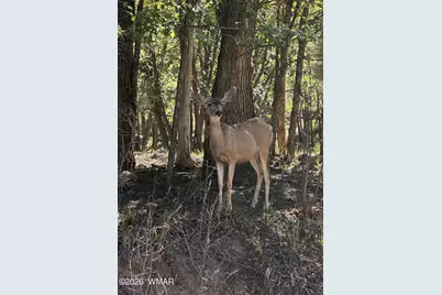 949 Geronimo Lane, Show Low, AZ 85901 - Photo 35
