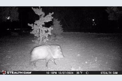 3408 Ponderosa Loop, Heber, AZ 85928 - Photo 55