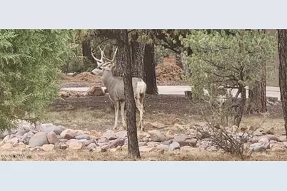 3408 Ponderosa Loop, Heber, AZ 85928 - Photo 53