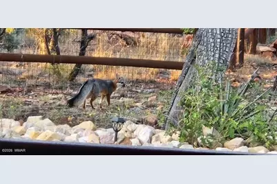 3408 Ponderosa Loop, Heber, AZ 85928 - Photo 57