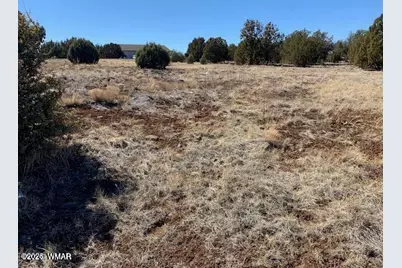 8580 Silver Creek Drive, Show Low, AZ 85901 - Photo 1