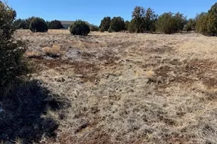 8580 Silver Creek Dr, Show Low, AZ 85901 - Photo 1