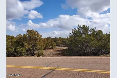 8580 Silver Creek Drive, Show Low, AZ 85901 - Photo 3