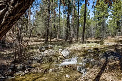 961 S Ginnala Lane, Show Low, AZ 85901 - Photo 59
