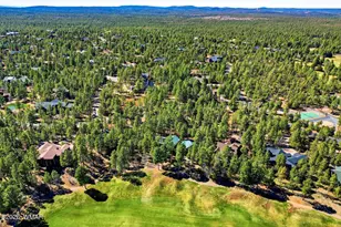 961 S Ginnala Ln, Show Low, AZ 85901 - Photo 63