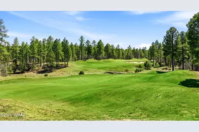 961 S Ginnala Lane, Show Low, AZ 85901 - Photo 5