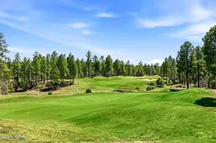 961 S Ginnala Ln, Show Low, AZ 85901 - Photo 5