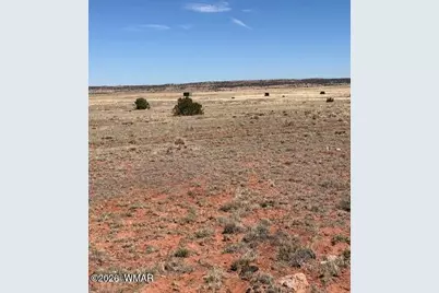 1045 County Road 5020, Concho, AZ 85924 - Photo 21