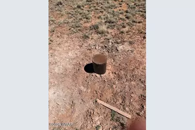 1045 County Road 5020, Concho, AZ 85924 - Photo 13