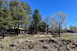 1448 S Adair Dr, Pinetop, AZ 85935 - Photo 7