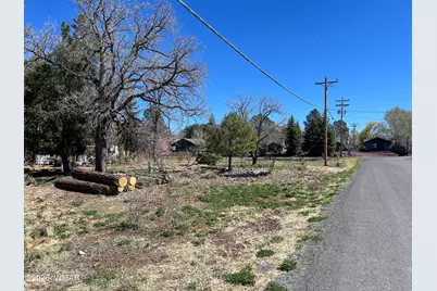 1448 S Adair Drive, Pinetop, AZ 85935 - Photo 3
