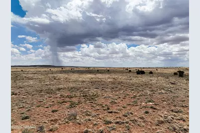 Tbd Parcel # 201-34-002, Snowflake, AZ 85937 - Photo 3