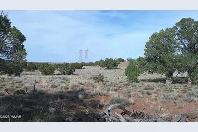 94 N9027, Concho, AZ 85924 - Photo 39