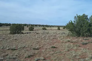 94 N9027, Concho, AZ 85924 - Photo 37