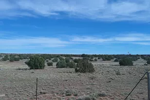 94 N9027, Concho, AZ 85924 - Photo 35