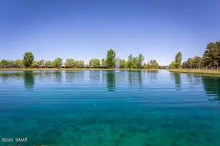 2690 Palomino Trail, Overgaard, AZ 85933 - Photo 37