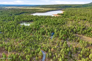 2900 Springer Mountain Dr, Lakeside, AZ 85929 - Photo 31