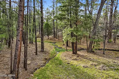 2900 Springer Mountain Drive, Lakeside, AZ 85929 - Photo 27