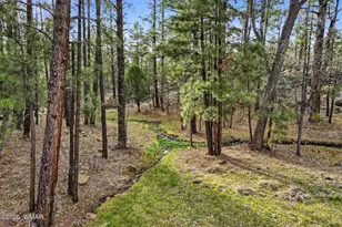 2900 Springer Mountain Dr, Lakeside, AZ 85929 - Photo 27