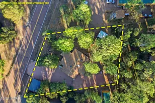 2894 Pine Rim Rd, Overgaard, AZ 85933 - Photo 33