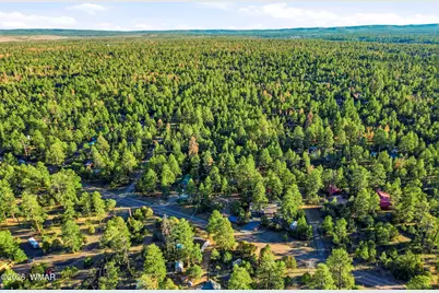 2894 Pine Rim Road, Overgaard, AZ 85933 - Photo 29